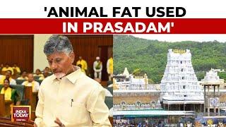 Chandrababu Naidu Claims Animal Fat Used In Tirupati Laddoo, YSR Congress Denies | India Today News