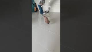 우드의 방석 교육