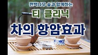 [엘앤더슨: 도심속 숲속 암병원] 티 클리닉; 차의 항암효과