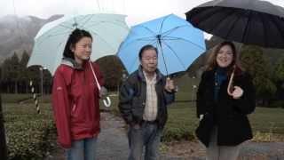 Organic farming with the Kinezuka family in Fujieda