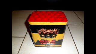 Golden Sky Explosion 20 Shots Private Label Rubro Fireworks |Straatfilm|