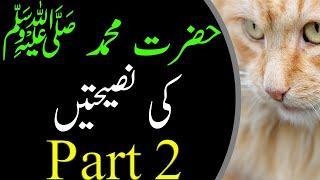 Hazrat Muhammad (S.A.W) ki Naseeyatain part 2 | Adab Mini