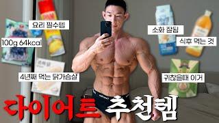 -8kg 감량 없으면 불안한 다이어트 추천템