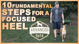 10 Fundamental STEPS For a Focused HEEL!