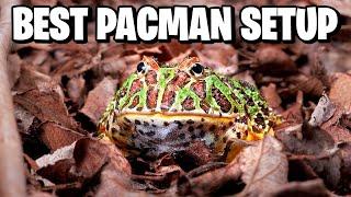 How to Setup a Pacman Frog Tank