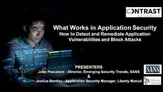 What Works in Application Security: How to Detect & Remediate Application Vulnerabilities