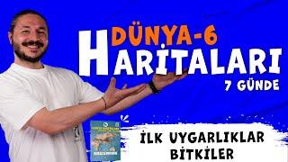 DÜNYA İLK UYGARLIKLAR - BİTKİLER HARİTA BİLGİSİ ÇALIŞMASI 2025 KAMP-6 (Kodlamalarla)