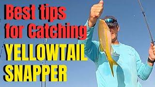 Best tips for catching YELLOWTAIL SNAPPER