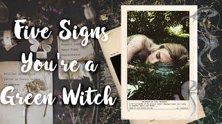 5 signs you are a Green Witch for the Wondering Witch || What kind of Witch are You?