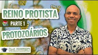 REINO PROTISTA I (PROTOCTISTA - PROTOZOÁRIOS) I Biologia Plena