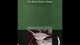 The Birds World of Song - Field Recordings