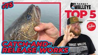 Target Walleye's Top 5 of the Week!  (Ep 75)