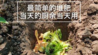 【我的有机小菜园】最简单的堆肥  当天厨余当天用  营养植物 肥力持续