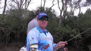 That's Fishing: Estuary Perch/Melbourne Marine Centre