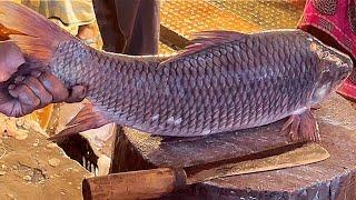 Amazing Cutting Skills | Big Rohu Fish Cutting Skills Live In Fish Market