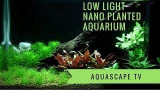 Low Light Nano Planted Aquarium with LED and CO2 | Aquascape TV