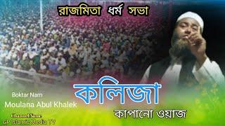 কলিজা কাপানো ওয়াজ || Koliza Kapano Waz | Moulana Hafiz Qari Abdul Khalek Nolonga