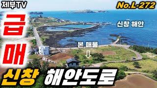 (급매) 여기에 집을 지으면 누구에게도 꿀리지 않는 멋진 제주도 전원주택이 될거에요