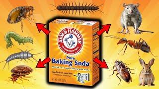 BAKING SODA: Ultimate Pest Control For FLEAS, MICE, RATS, COCKROACHES, ANTS, BEDBUGS, CENTIPEDES...