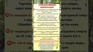 НАШАТЫРЬ 6 Эффективных способов применения в садоводстве #удобрения #советысадоводу #огородники