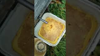 вытопка воска, парогенератор с сухопарником