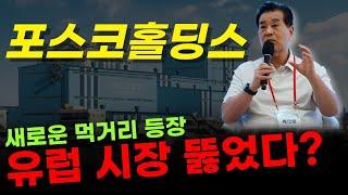  포스코홀딩스 - 유럽 시장 점유율 40% 더 올릴 수 있을까? IRA 수정안 대비책으로 유럽 확장 초읽기..