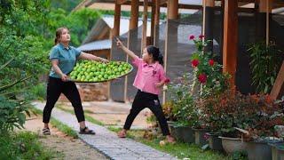 Harvesting plum gardens with my daughter, The younger sister came to cook & welcome