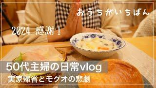 【感謝 】実家の庭紹介/冬野菜消費