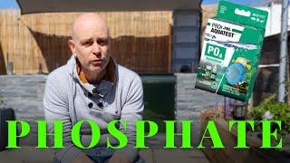 A guide to Pond Phosphate (useful for koi & all fish ponds)