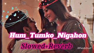 Hum_Tumko_Nigahon mein || (slowed+Reverb) Salman Khan Hind songs / lofi song