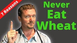 7 Reasons to NEVER Eat Wheat Again (Not Just Gluten) 2024