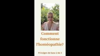 La racine de la maladie. L'homéopathie et ses Principes de Base (2 de 3) Ingrid Schutt homéopathe