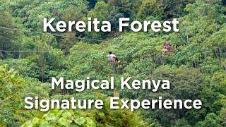 Kereita forest ziplining and fun outdoor adventure - Magical Kenya signature experience