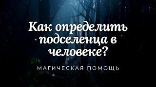 Как определить подселенца в человеке?