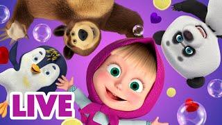  LIVE STREAM  Masha and the Bear  Watch ALL Episodes NOW! ▶️