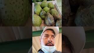 Anti Cancer fruit Gains don't matter if you aren't healthy #shorts