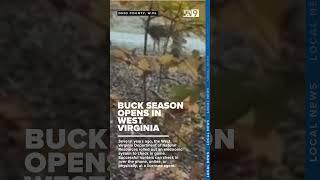 Buck season begins, brining an economic boost to West Virginia