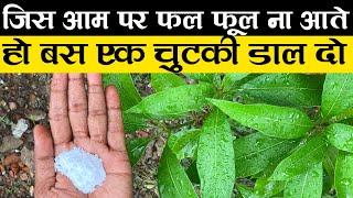 जिस आम पर फल फूल ना आते हो बस एक चुटकी डाल दो | Best Fertilizer for Mango Trees | Mango Plant