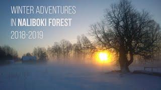 Winter adventures in Naliboki Forest