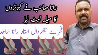 Love the pigeons of Ustad Rana Sajid