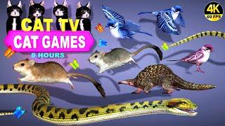 CAT GAMES OFFICIAL | BEST CAT TV COMPLATION FOR CATS | THE JERRY MOUSE HOLE  4K 8-HOURS | 