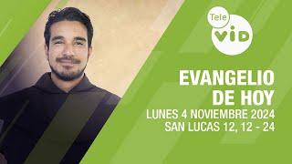 El evangelio de hoy Lunes 4 Noviembre de 2024  #LectioDivina #TeleVID