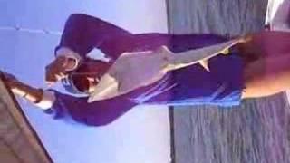 shovenose shark