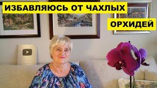 ИЗБАВЛЯЮСЬ ОТ ЧАХЛЫХ ОРХИДЕЙ..УМЕЛЕЦ ДЛЯ ШКАФА НАШЁЛСЯ..СИДИМ НА ЛАВОЧКЕ