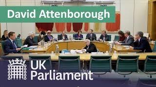 BEIS Committee questions Sir David Attenborough