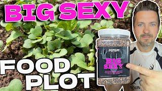 Domain Outdoor Big Sexy Food Plot: Leafy Greens, Kale, Radish & Turnip. Black Boar ATV / UTV till