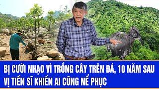 Bị cười nhạo vì trồng cây trên đá, 10 năm sau vị tiến sĩ khiến ai cũng nể phục