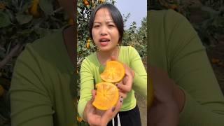 Enjoy Beautiful Persimmon Fruit  | Amazing Fresh Fruits Harvest #shorts #fruits #youtubeshorts