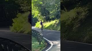 last summer reel️ #shorts #bikelife #wheelie