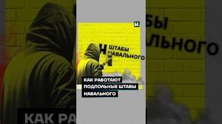 Как работают подпольные штабы Навального